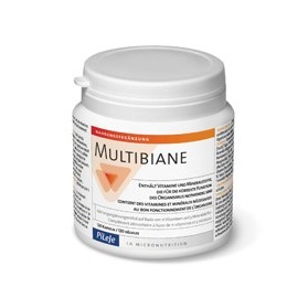 Pileje Multibiane 120 gélules