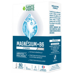 Santé Verte Magnésium + B6...